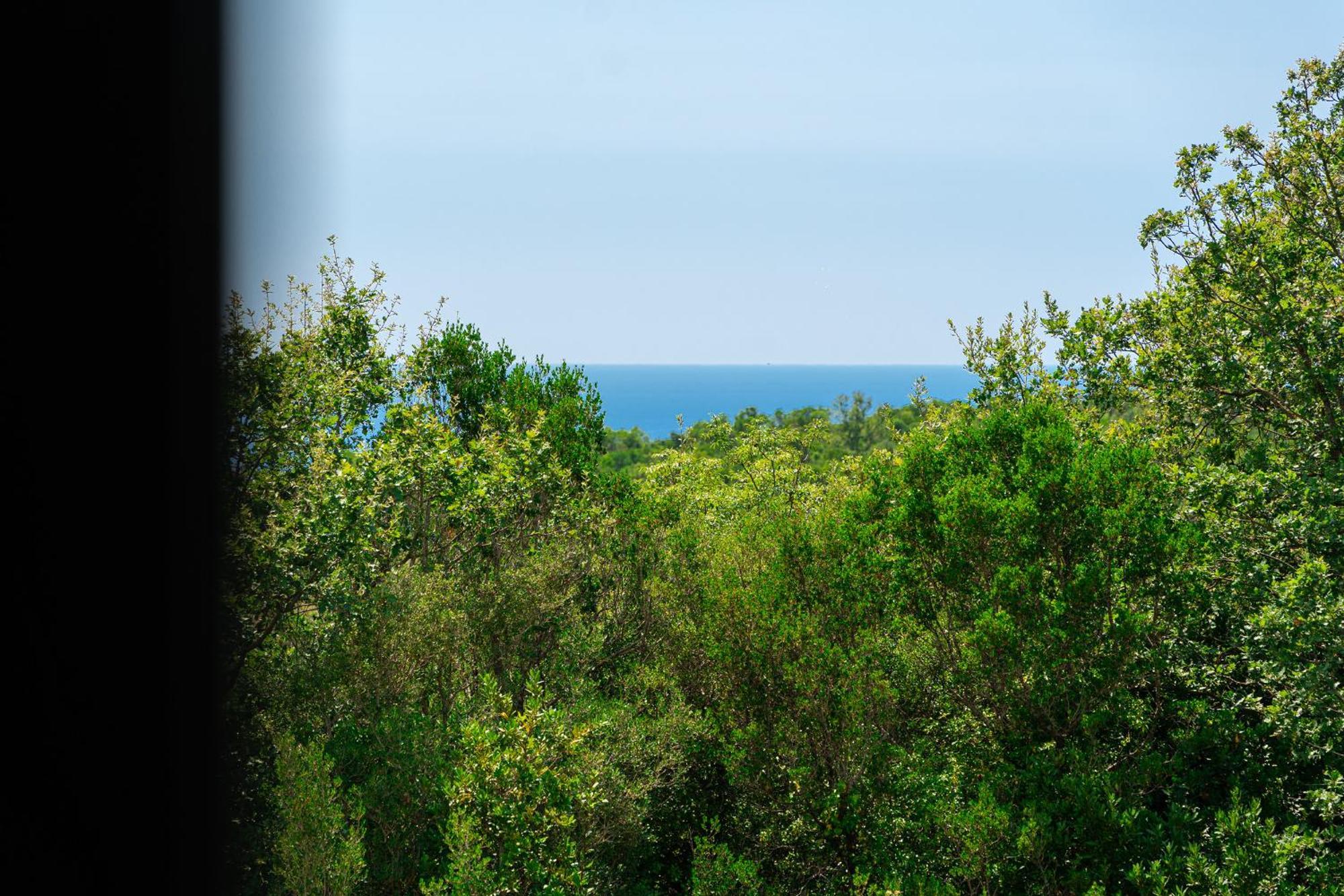 Villa Una Κότορ Εξωτερικό φωτογραφία